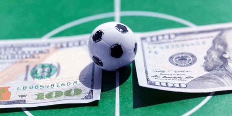 Các chú ý quan trọng khi nhận định