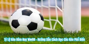 Tỷ Lệ Kèo Hôm Nay WW88 - Hướng Dẫn Cách Đọc Các Kèo Phổ Biến